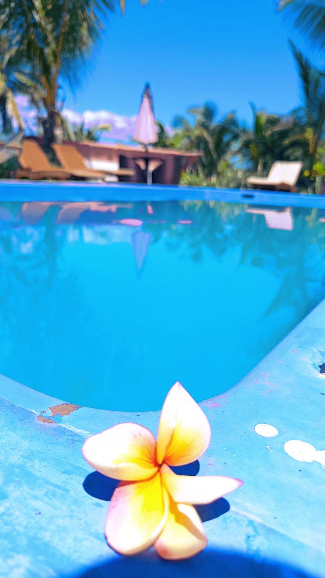 Nadi Fancy Hotel エクステリア 写真